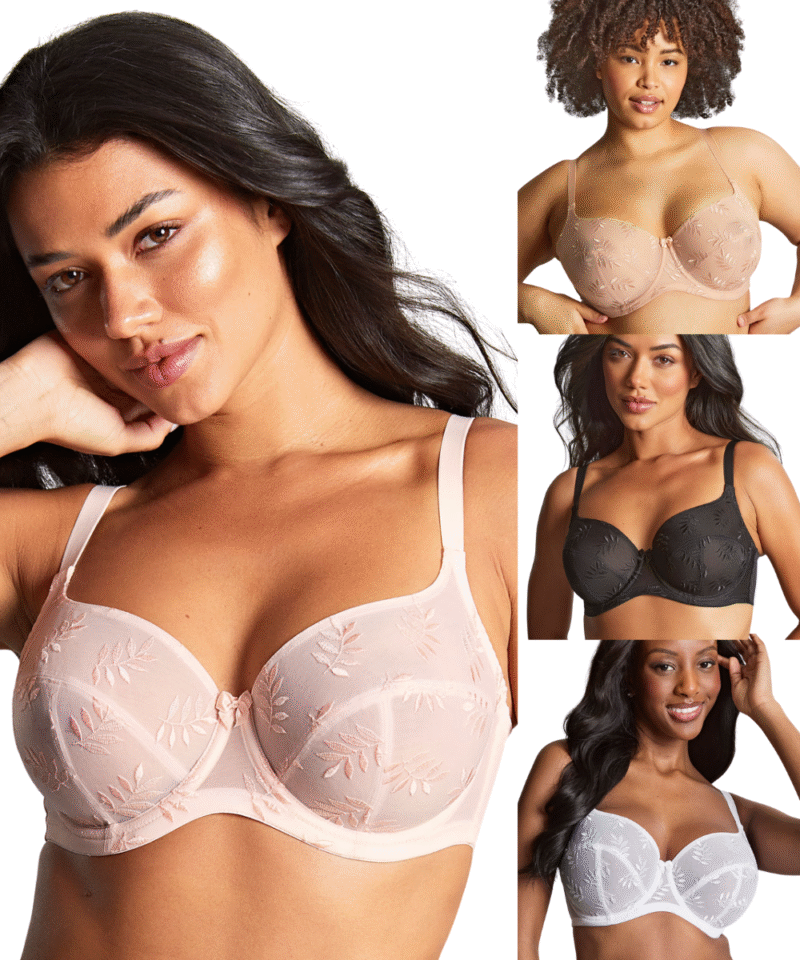 Panache Tango Bra in Black, White, Honey, Blush Pink